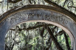 Wormsloe Plantation   Savannah 04453